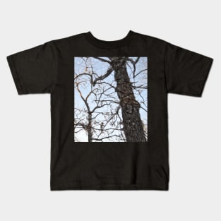 Trees 39 by Kristalin Davis Kids T-Shirt